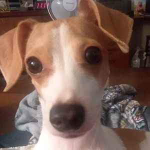 Meet your Posher, Jaime